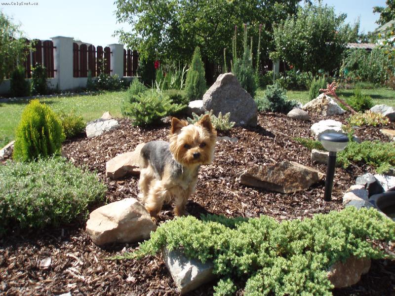 Foto: Samanta-na skalce