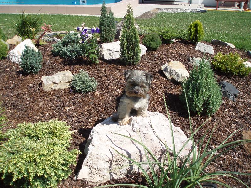 Foto: Baruška-na skslce