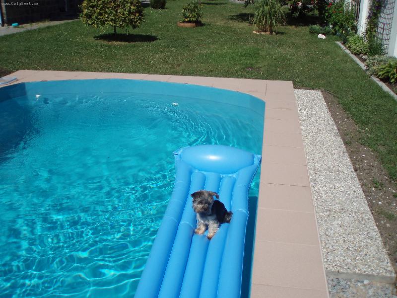 Foto: Baruška-na lehátku