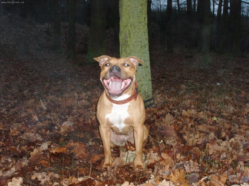 Foto: Smích od srdce-Kdo se směje na posled ten se směje .....