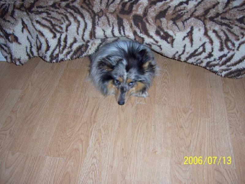 Foto: Džesinka se urazila-Teď tady budu tak dlouho dokud si mě neudobříte