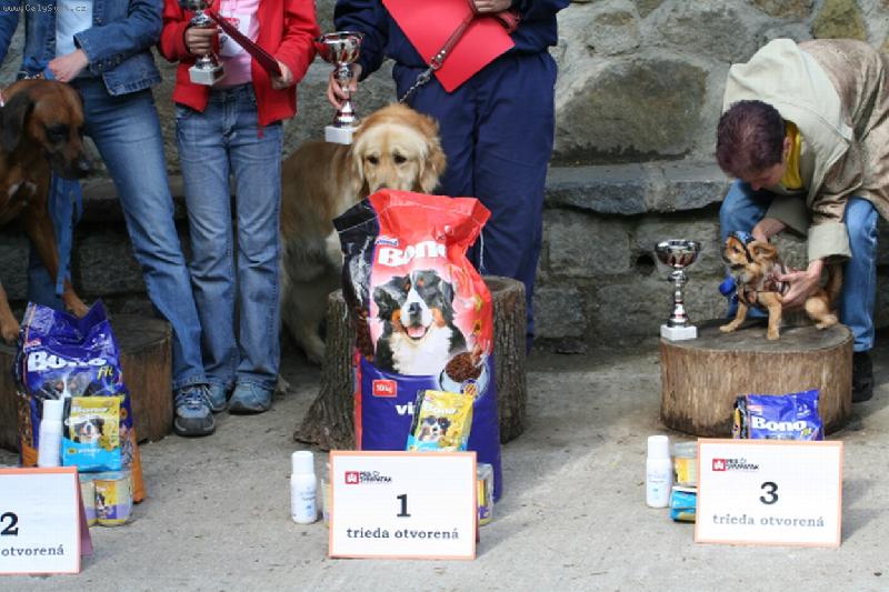 Foto: ...ja sa vás nebojím-odovzdávanie cien na súťaži Pes Sympaťák