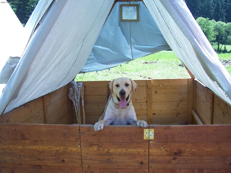 Foto: já miluju tábory-Rockynek na táboře