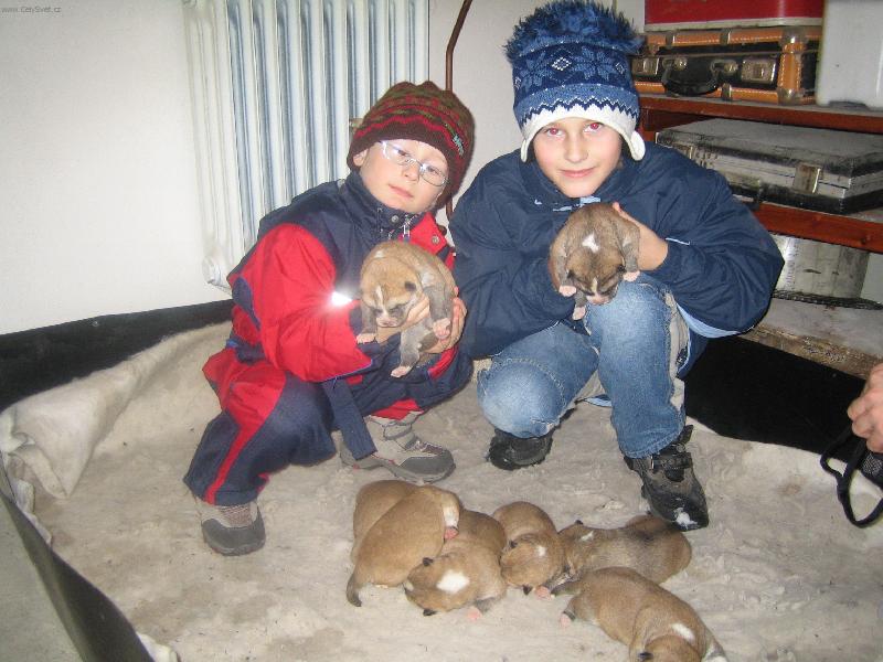 Foto: NAši nejmilejší-děti a pejsci