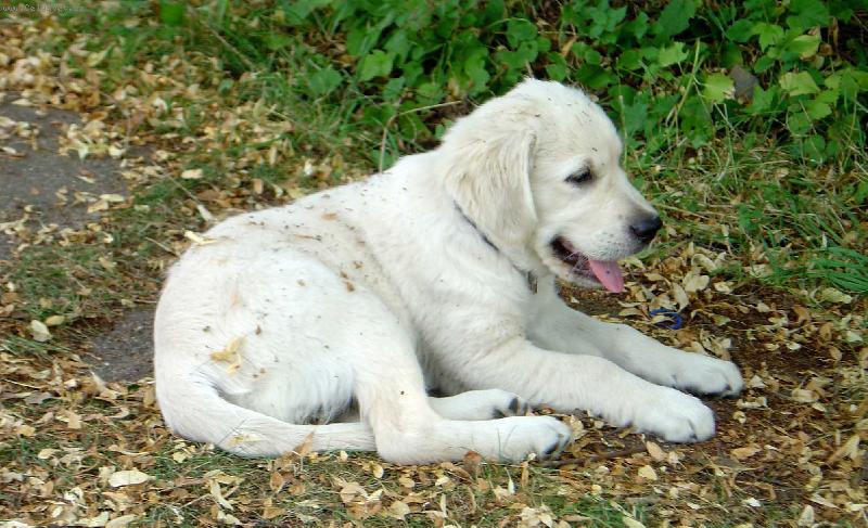 Foto: Bronwynka-Odpočinek