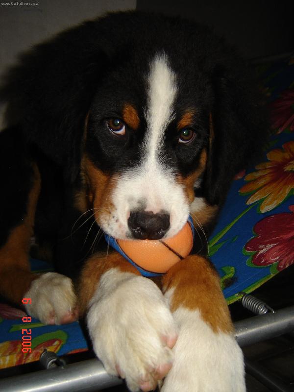 Foto: Smutně koukám :)