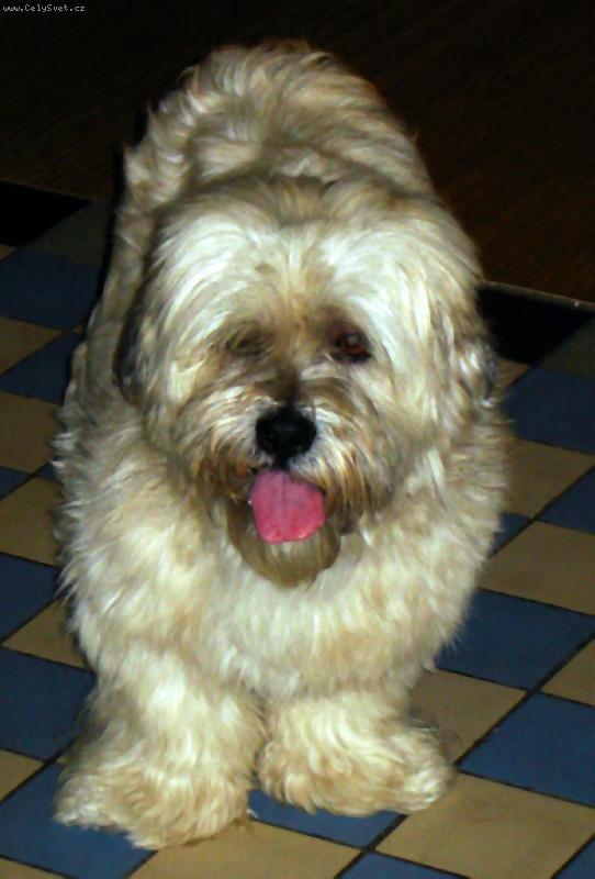 Foto: Moje lásečka! :)