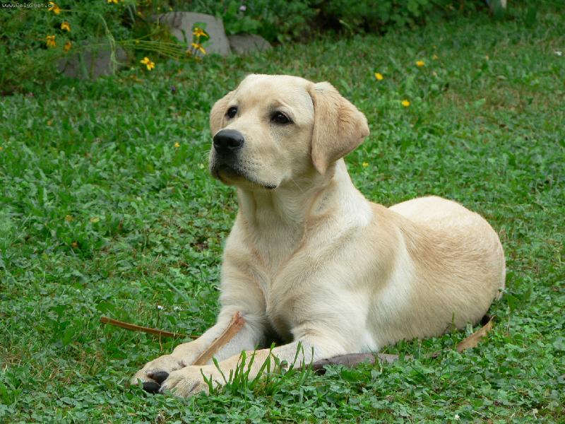 Foto: Sára-Tak já vám tedy zapózuji