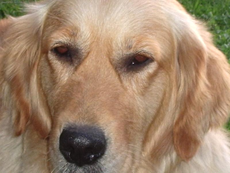 Foto: Portrét Vikinky-Sluší mi to, že?