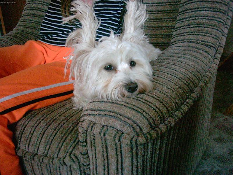 Foto: Artík-co to zase dělají