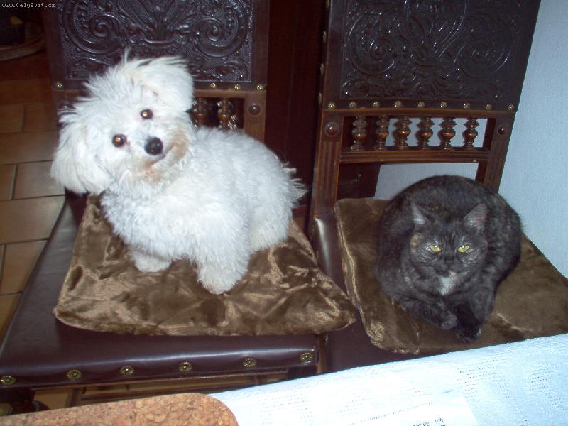 Foto: Naše holky-Julča a Zuza-Tak kdy bude ten oběd?