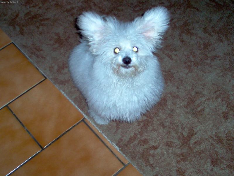 Foto: Chudinka Julinka-"...ale já opravdu nejsem na baterky..."