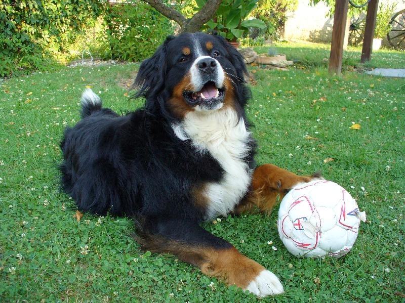 Foto: začutáme si?