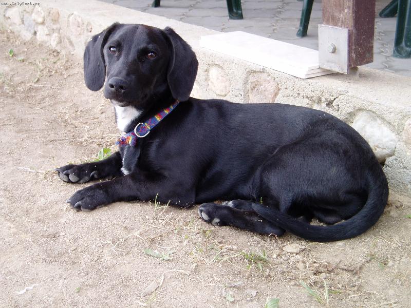 Foto: no nejsem fešák