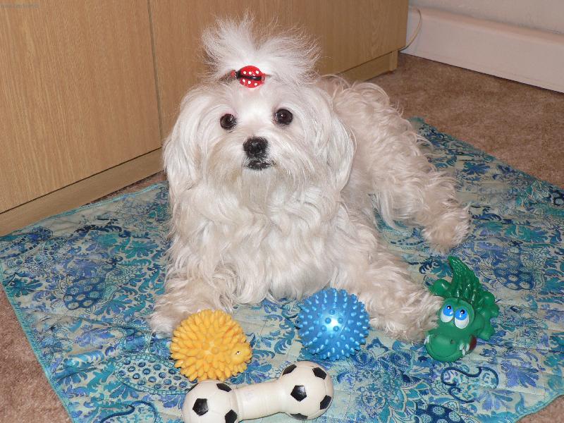 Foto: Peggy-Moje hračky