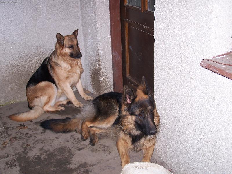 Foto: Naši hlídači