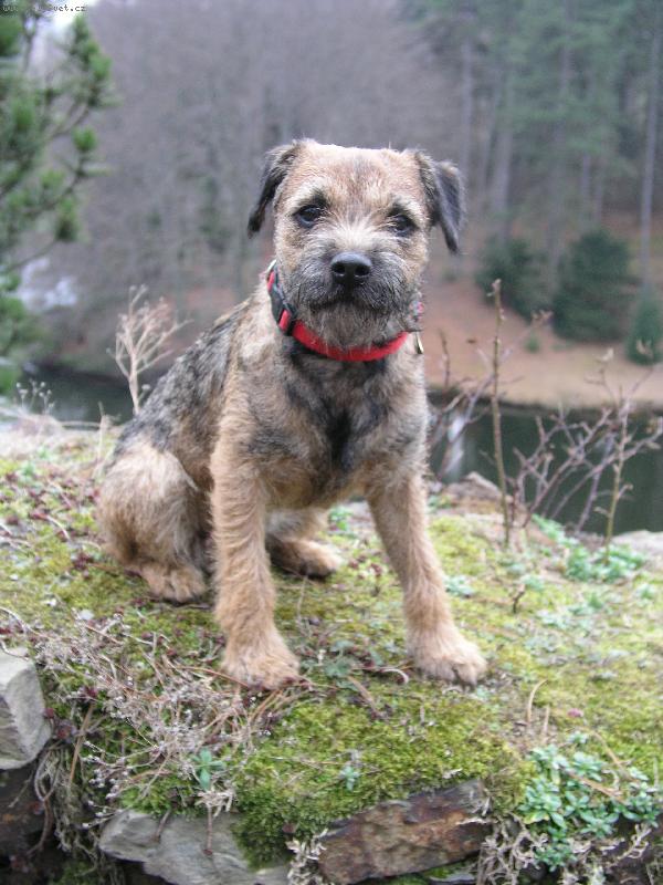 Foto: Podzimní krasavice-Na procházce v parku