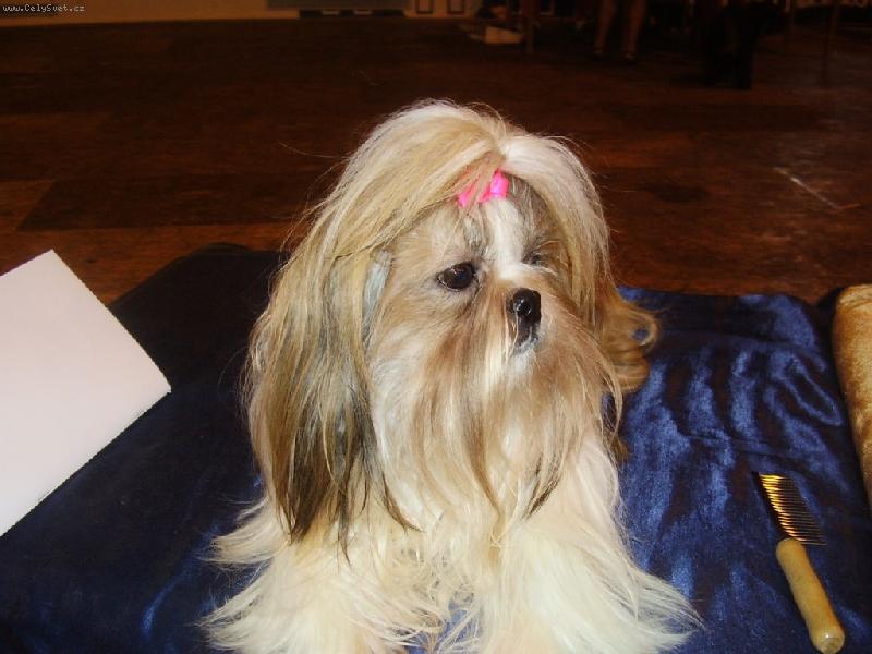 Foto: Kam jste zase všichni šli?