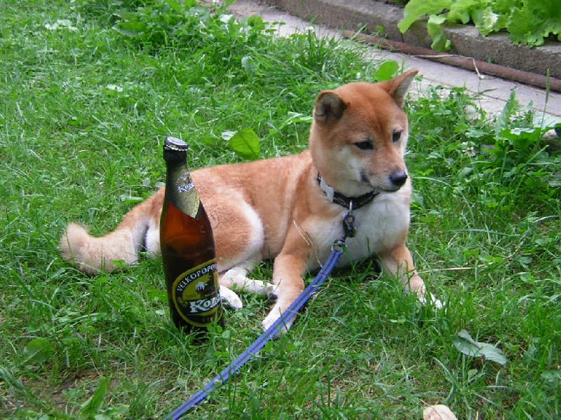 Foto: po pořádné práci orosená odměna