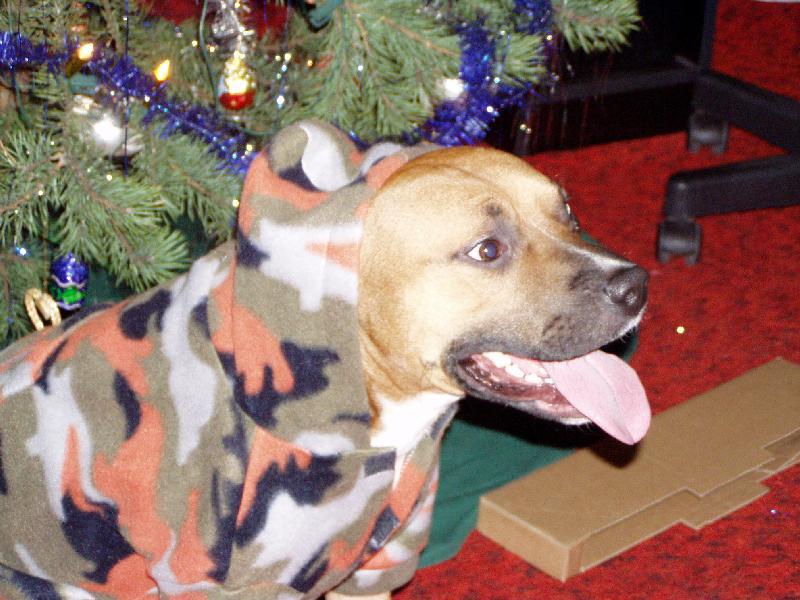 Foto: Příprava na boj