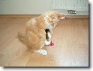 Dostanu tě na lopatky