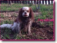 A umývat se nebudu!!!!