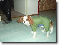 nezdá se vám, že jsem nějak vyrostl