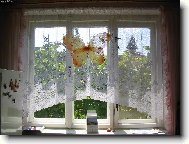 naše motýlkové okno