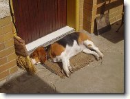 Tady strážim pořád já...!