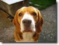 Prosím...daj mi ochutnať!