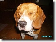 Čo to bolo?! Blesk?!