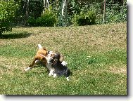 Mám tě ráda, si můj nejlepší kámoš...