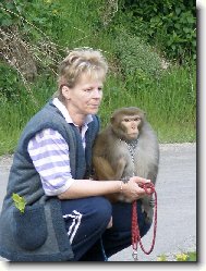 Kokinek na procházce