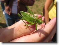 Blízká setkání...