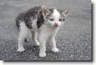 To jsem ale velký!!!