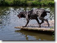 Už jdu na to, šéfe!