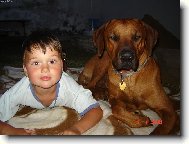 Synoveček s hafíkem