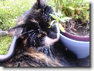 To je ale pohoda...nerušit!!!