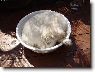 už jsem to zamázla