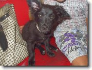 Můj miláček Benýýýšek