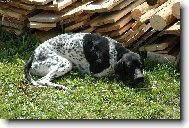 Ještě chvilinku si odpočinu