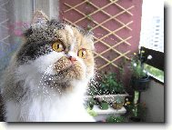 Neunikneš mi .......