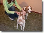 Bil jsem jako cedník, teď už to nekape