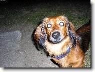 Můžu jsi svítit,aniž bych potřeboval baterku