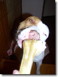 To je ale mňamka..tak mi to už deeeejj!!!!