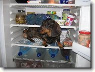 Příliš horké léto