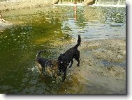 ,,manželská,,hádka