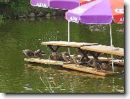 můžeme si přisednout?