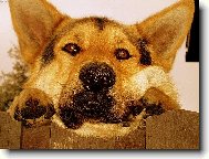 Prosím, neodcházej!!!!