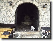 Kočka v roli kontrolora